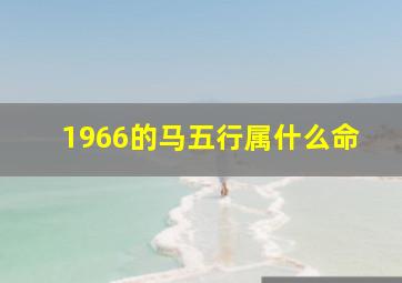 1966的马五行属什么命