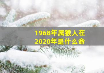 1968年属猴人在2020年是什么命