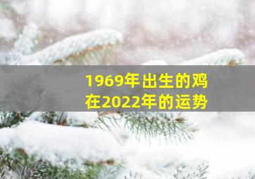 1969年出生的鸡在2022年的运势