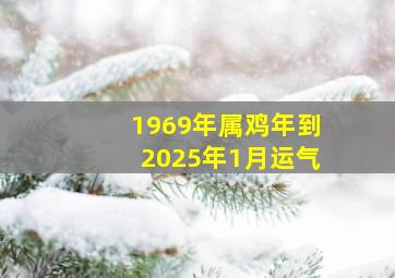 1969年属鸡年到2025年1月运气