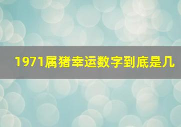 1971属猪幸运数字到底是几