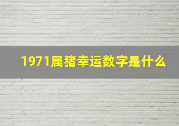 1971属猪幸运数字是什么