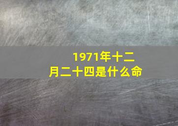 1971年十二月二十四是什么命