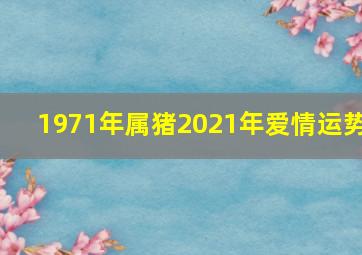 1971年属猪2021年爱情运势