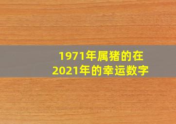 1971年属猪的在2021年的幸运数字