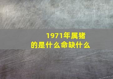 1971年属猪的是什么命缺什么