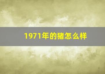 1971年的猪怎么样