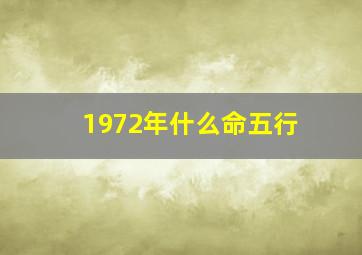 1972年什么命五行