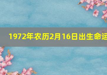 1972年农历2月16日出生命运