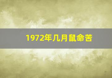 1972年几月鼠命苦