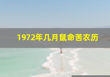 1972年几月鼠命苦农历