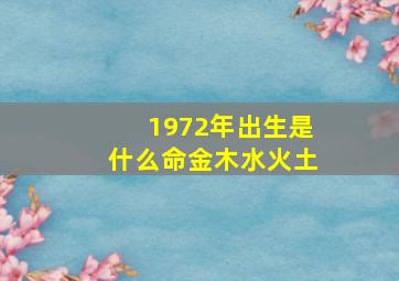 1972年出生是什么命金木水火土