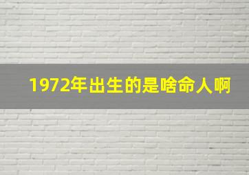 1972年出生的是啥命人啊