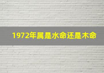 1972年属是水命还是木命