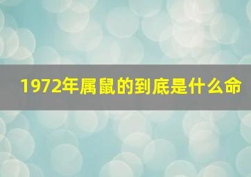 1972年属鼠的到底是什么命