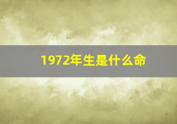 1972年生是什么命