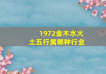 1972金木水火土五行属哪种行业