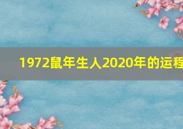 1972鼠年生人2020年的运程