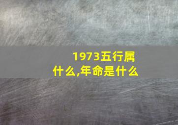 1973五行属什么,年命是什么