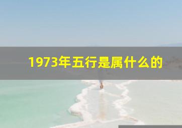 1973年五行是属什么的