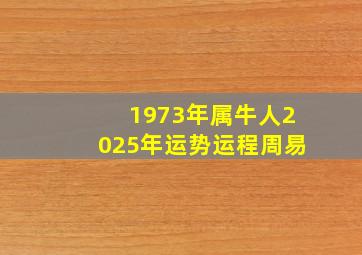 1973年属牛人2025年运势运程周易