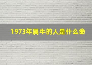 1973年属牛的人是什么命