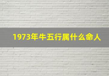 1973年牛五行属什么命人