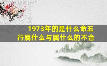 1973年的是什么命五行属什么与属什么的不合