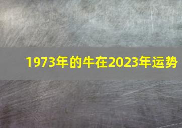 1973年的牛在2023年运势