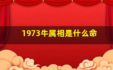 1973牛属相是什么命