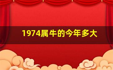 1974属牛的今年多大