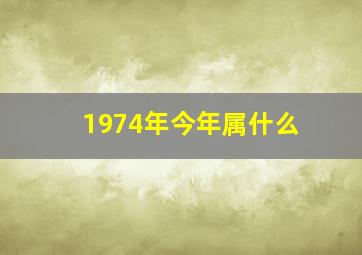 1974年今年属什么