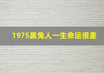 1975属兔人一生命运很差