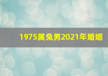 1975属兔男2021年婚姻