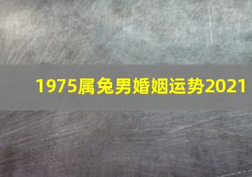 1975属兔男婚姻运势2021