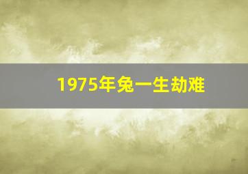 1975年兔一生劫难