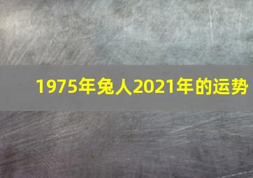 1975年兔人2021年的运势