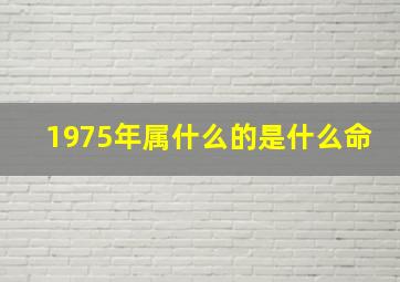 1975年属什么的是什么命