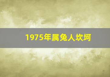 1975年属兔人坎坷