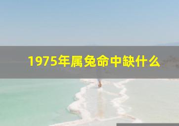 1975年属兔命中缺什么