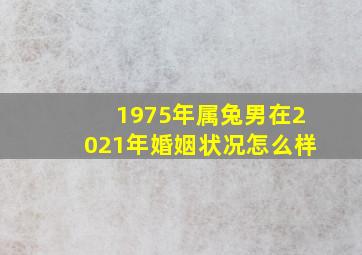 1975年属兔男在2021年婚姻状况怎么样