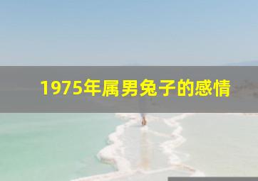 1975年属男兔子的感情