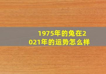 1975年的兔在2021年的运势怎么样