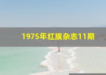 1975年红旗杂志11期