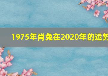 1975年肖兔在2020年的运势