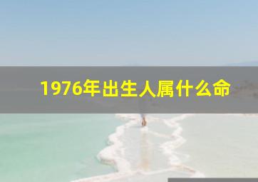 1976年出生人属什么命