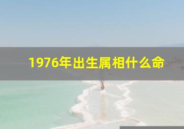 1976年出生属相什么命