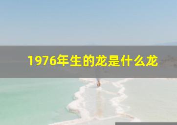 1976年生的龙是什么龙