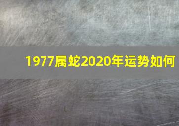 1977属蛇2020年运势如何