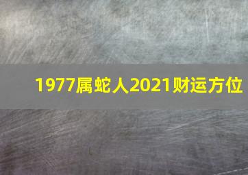 1977属蛇人2021财运方位